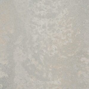 Primordia