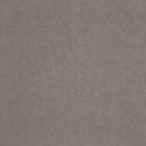 Dove Grey